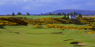 Championship Dornoch