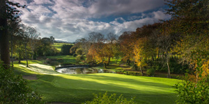 Druids Glen - 8th Hole