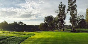 Kaya Palazzo Golf Club - Image 5