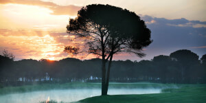 Montgomerie Maxx Royal Golf Club - Image 2