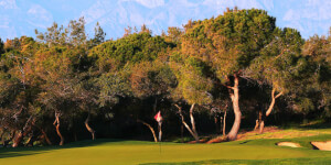 Titanic Golf Club - Image 3