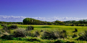 Saunton 4
